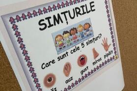 Copiii descoperă lumea prin cele cinci simțuri